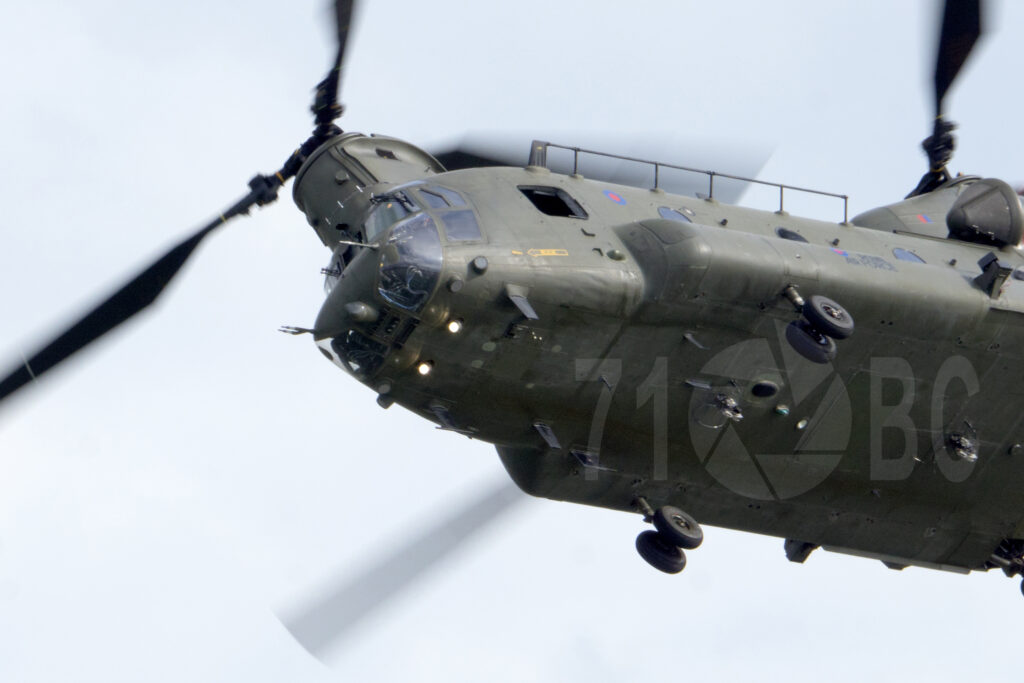 Chinook