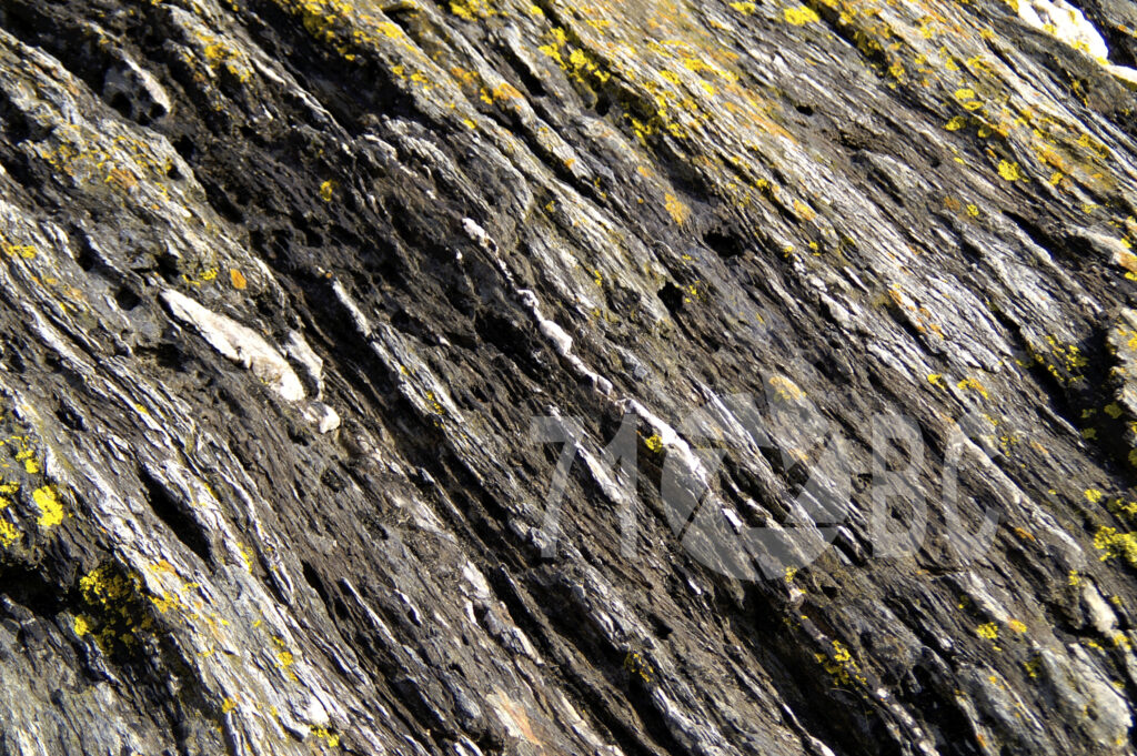 Devon Rock
