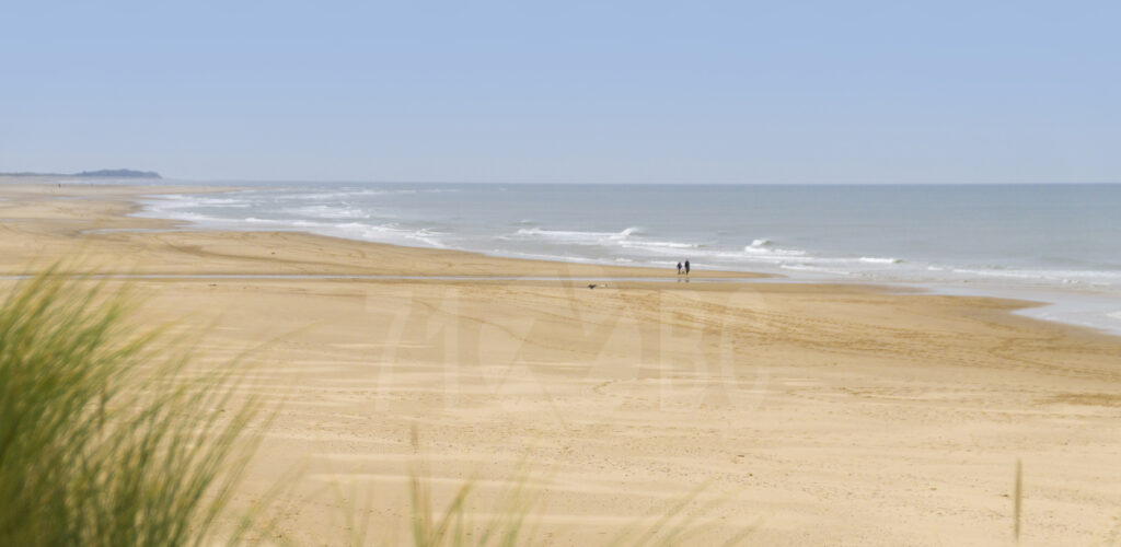 Holkham Beach