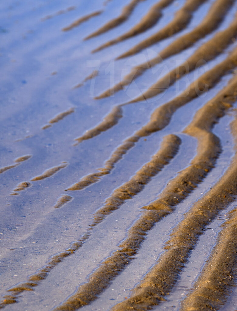 Ripples in the Sand