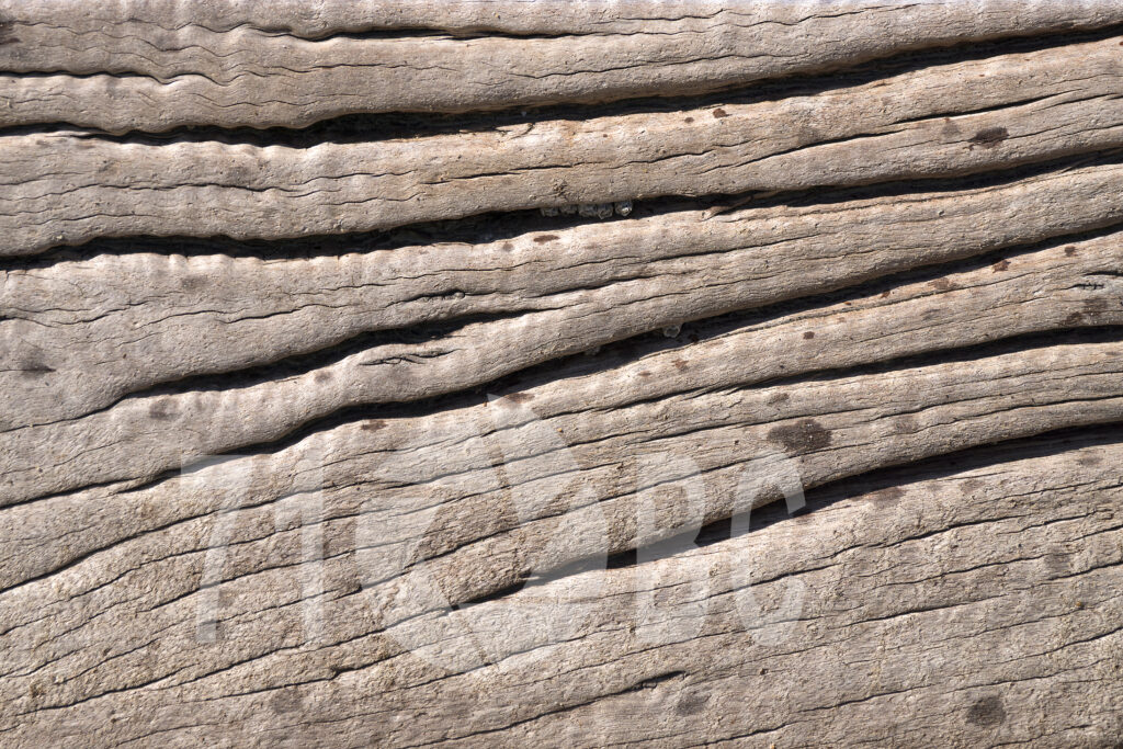 Old Wood